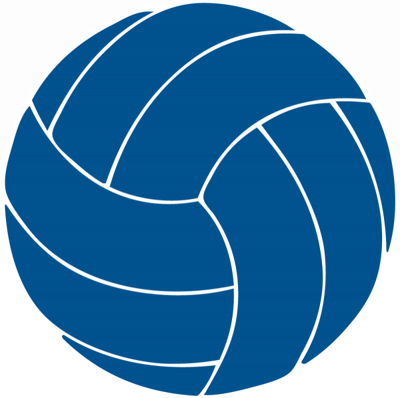 Volleyball Ball Clipart Mikasa Amp Volleyball Ball - Texas A&m Volleyball Logo (800x796)