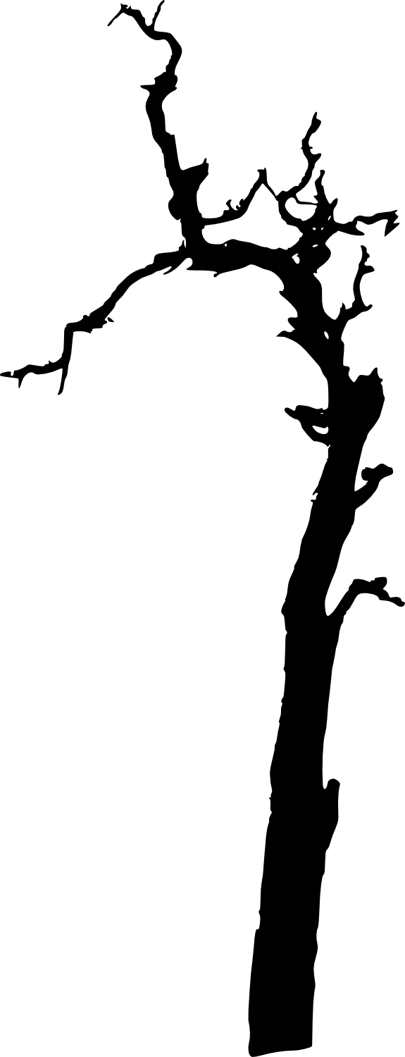 17 Dead Tree Silhouette - 17 Dead Tree Silhouette (575x1500)