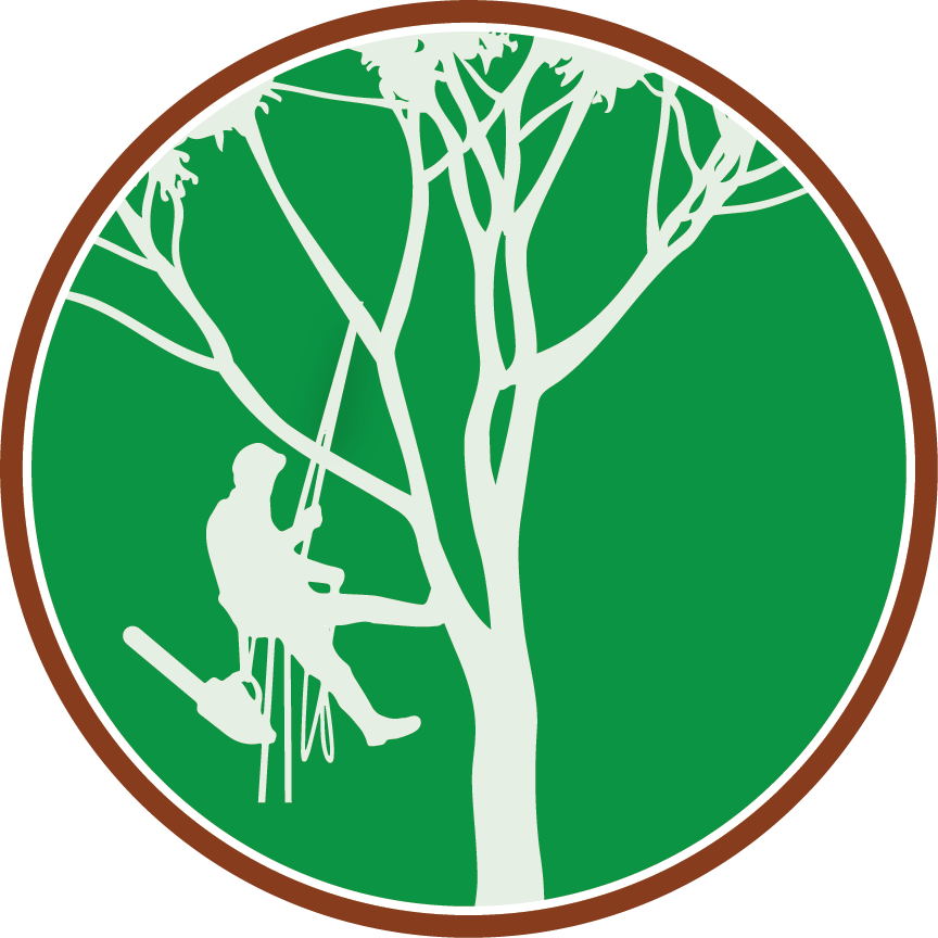 Paul The Tree Climber - Tree Climber Logo (864x864)