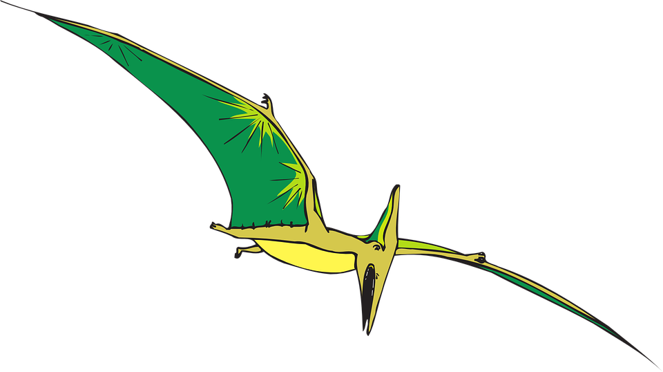 Brds Clipart Dinosaur - Pteranodon Clip Art (960x538)