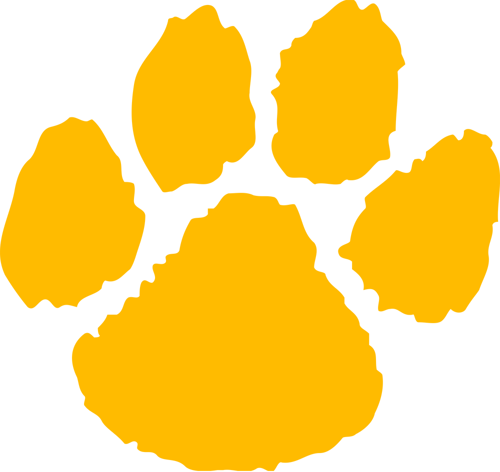 Wildcat Paw - - Black And Gold Paw Print (1000x945)