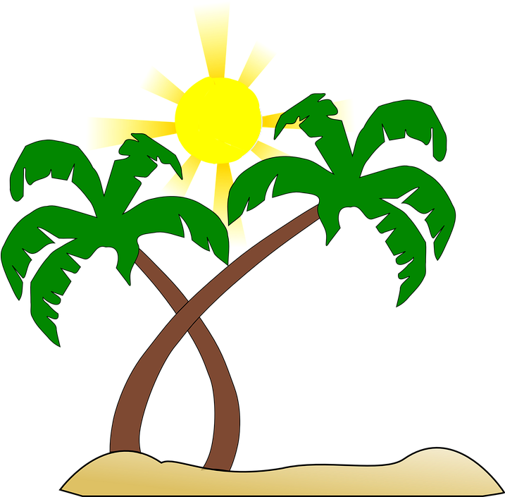 Beach Palm Tree Sun Green Brown Yellow Heat - Beach Palm Tree Sun Green Brown Yellow Heat (716x720)