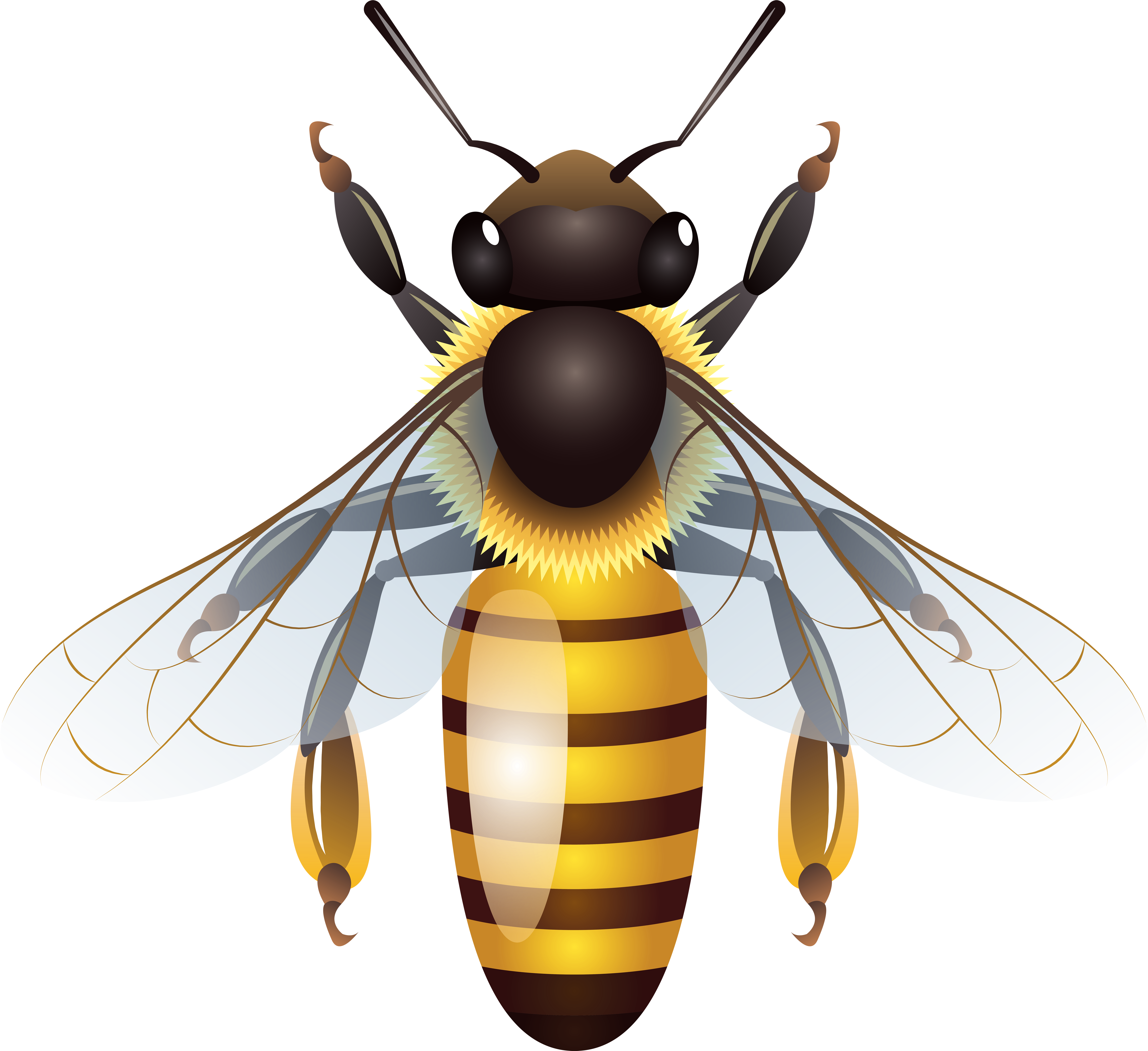 Bee Png Clip Art - Bee Png Clip Art (8000x7323)