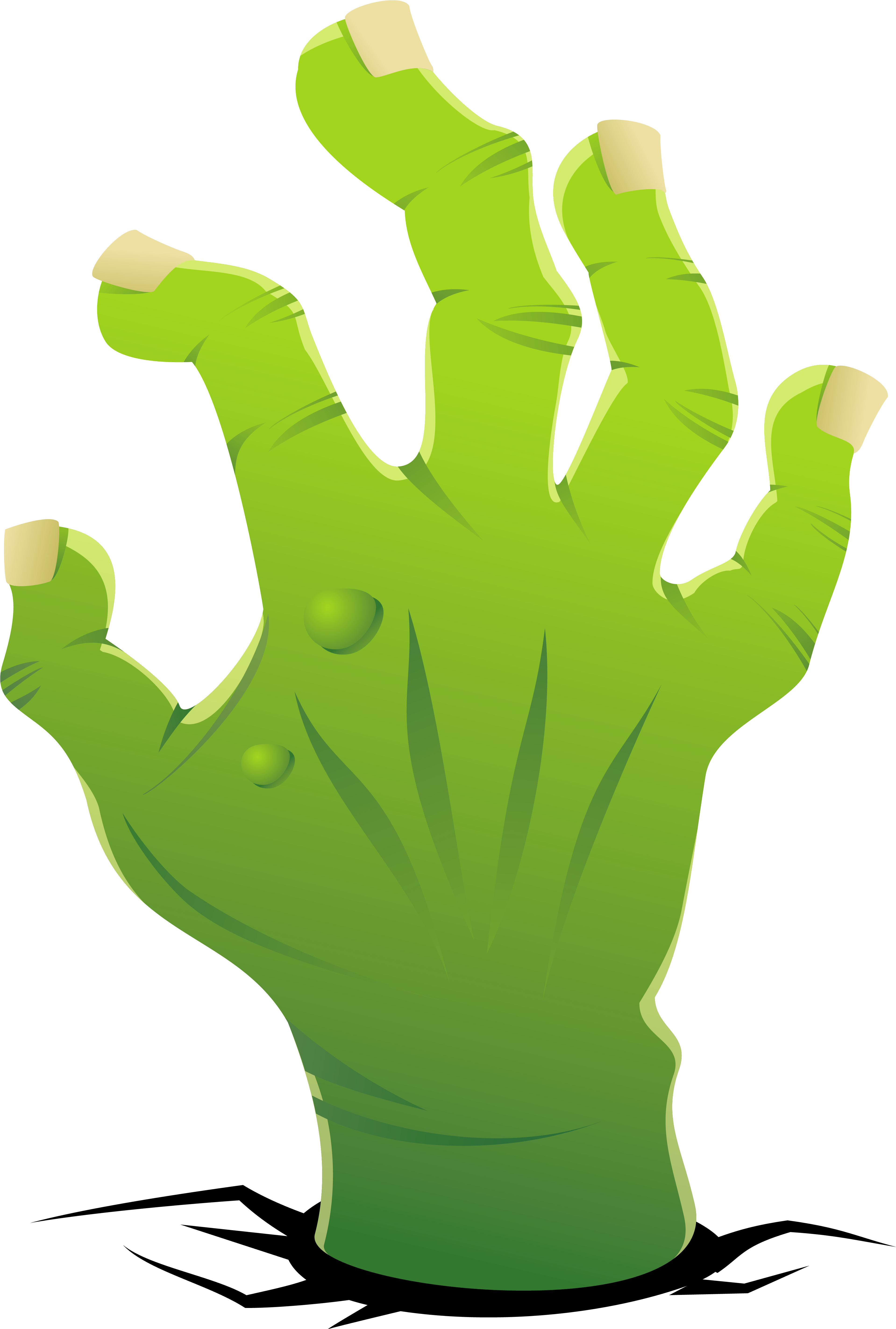 Zombie Hand Clipart Image - Zombie Hand Clipart Transparent (3979x5899)