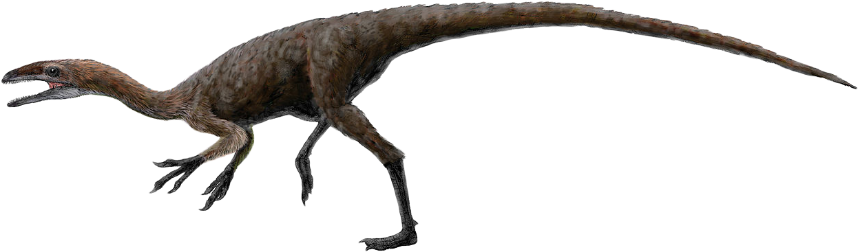 Dinosaur Clipart - Coelurus (1280x494)