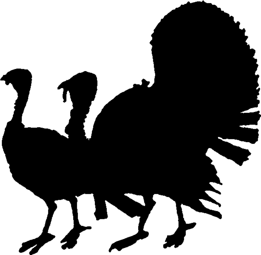 Old Vintage Designs Free Public Domain Thanksgiving - Turkey Silhouette (1000x912)