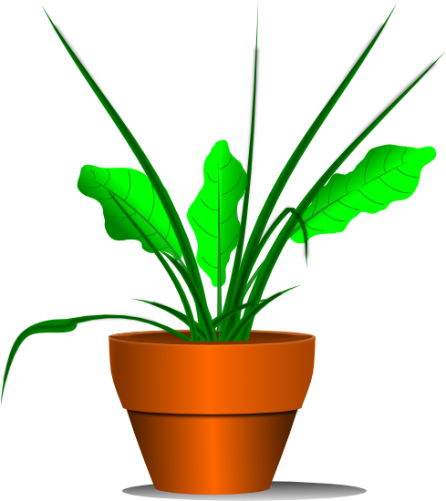 Potted Plant - Palabras Con M Inicial (489x550)