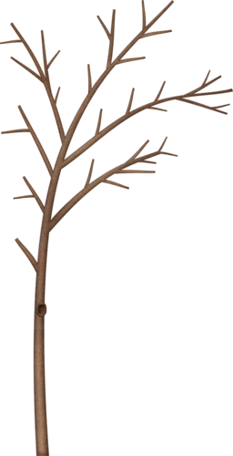 Bare Branch Tree - Bare Branch Tree (256x500)