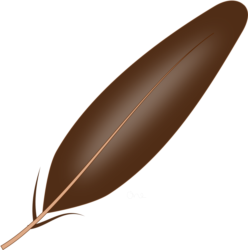 Feather 0 Images About Clip Art On Native American - Feather Clipart Png (894x900)