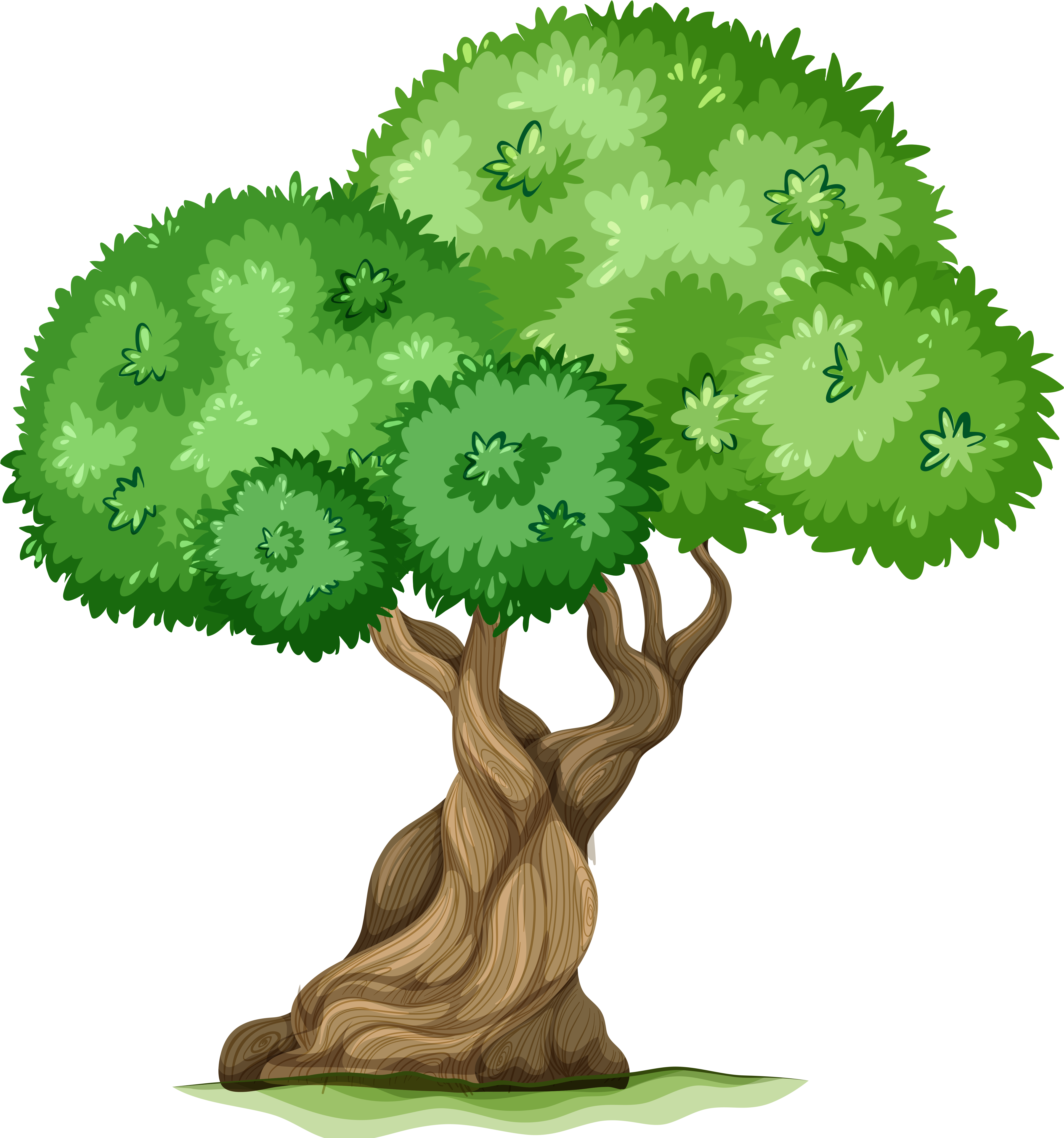 Tree Clip Art - Tree Clipart Png (4862x5132)