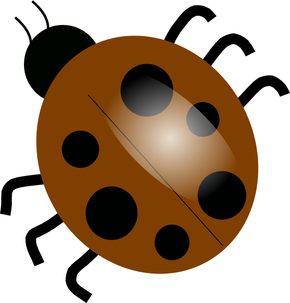 Brown Ladybugs Clip Art At Clker - Transparent Background Clip Art Bug (570x596)