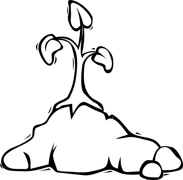 Plant Outline By Louise - Garden Tools Clip Art (600x591)
