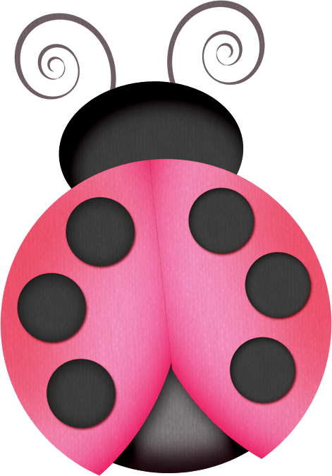 Ϧugs ‿✿⁀ - Ladybird Beetle (471x674)