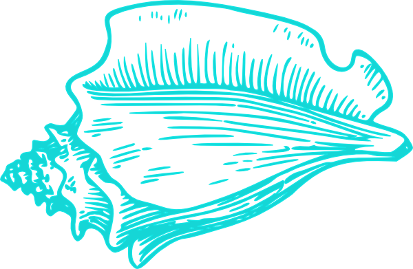 Teal Light Conch Shell Clip Art - Teal Seashell Clipart (600x391)