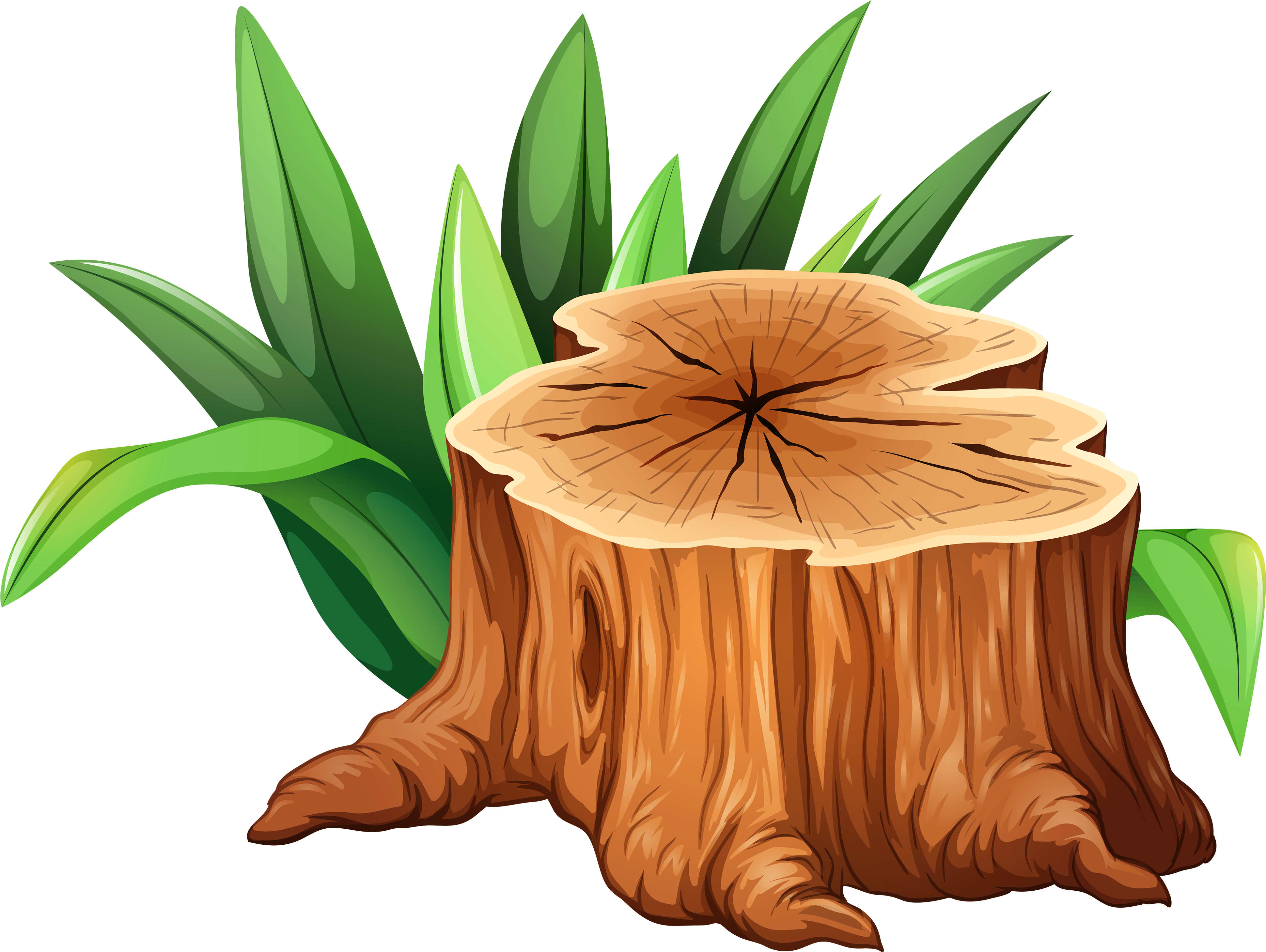 Tree Trunk Tree Stump Clipart - Tree Trunk Tree Stump Clipart (4000x3009)