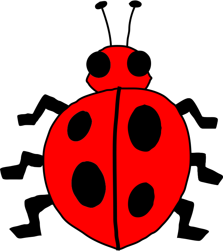 Inspiring Ideas Bug Clipart Ladybug Lady Clip Art At - Clipart Image Of Bug (671x750)