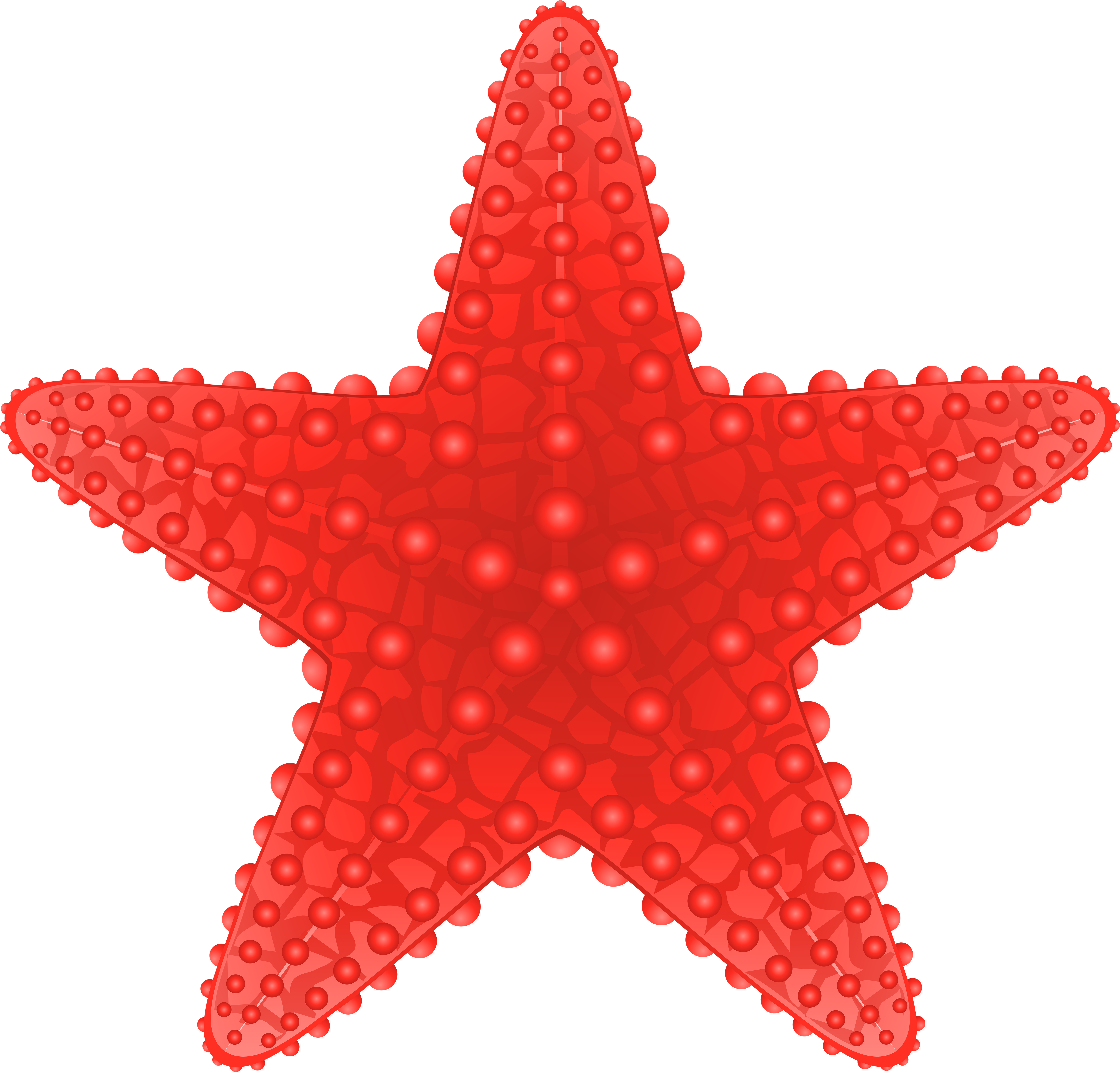 Starfish Transparent Clip Art Image - Starfish Clip Art Png (6000x5741)