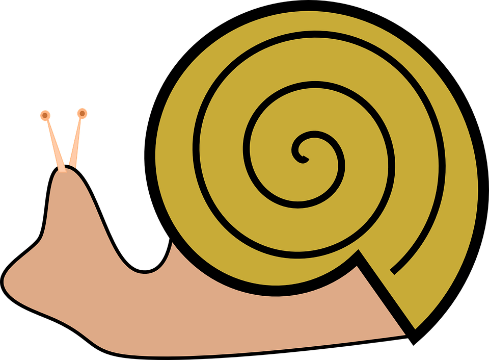 Snails Clipart (1280x941)