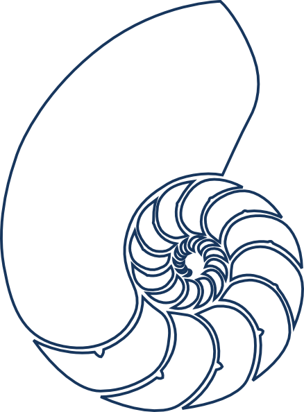 Aqua Blue Seashell Clipart Cliparthut Free - Nautilus Shell Drawing (438x594)