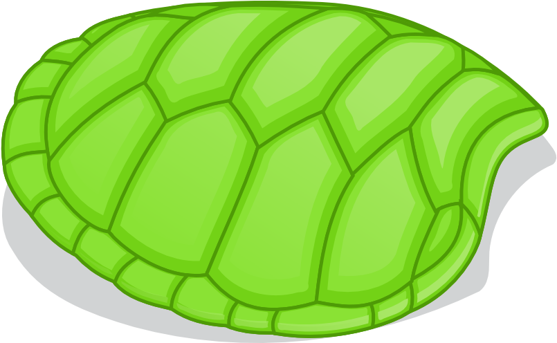 Turtle Shell Clipart (1000x617)