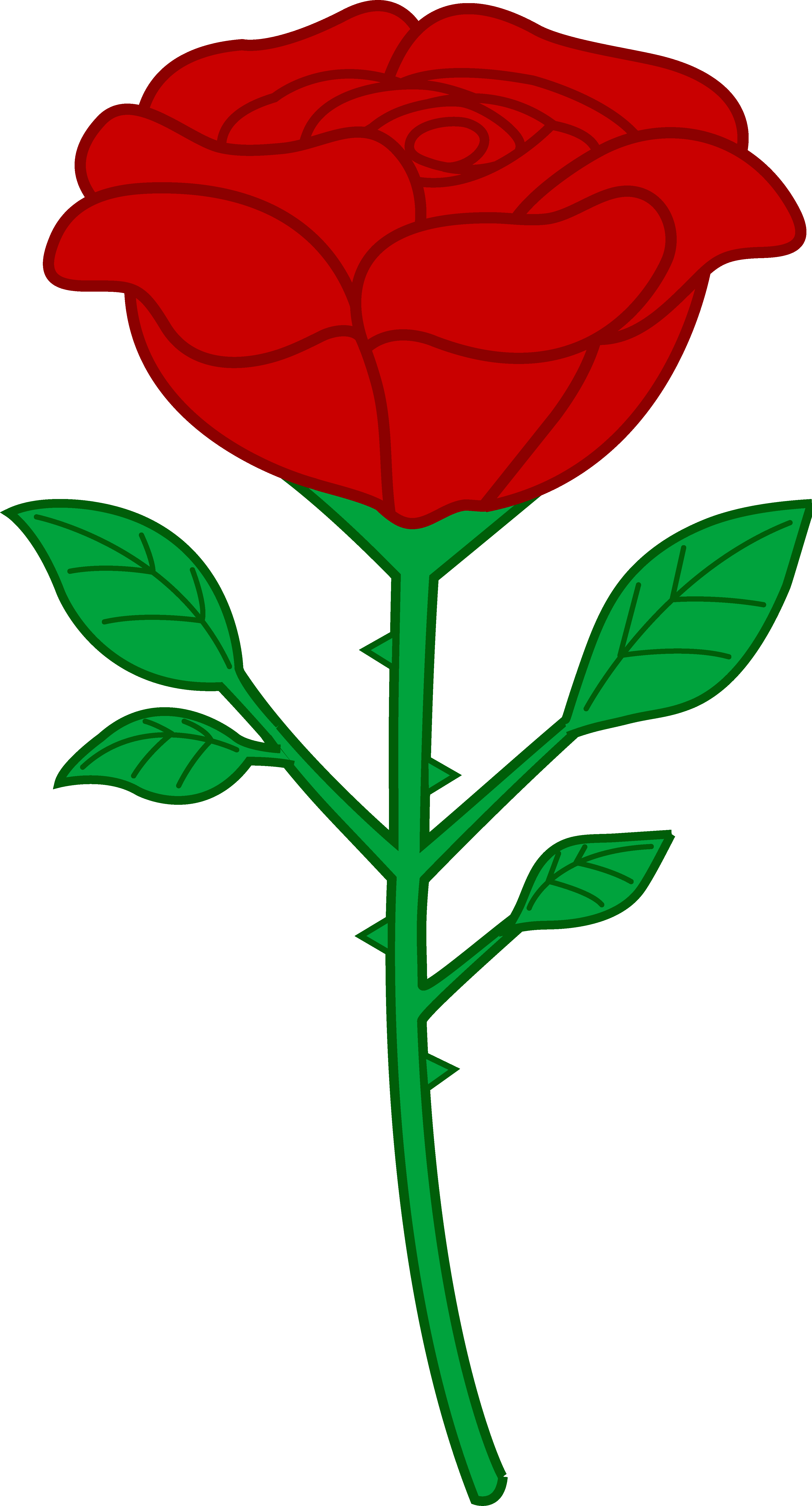 Petal Clipart Rose Stem - Cartoon Rose (3906x7240)