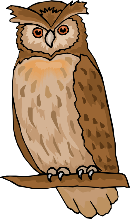 Clipart Of Owl Free Owl Clipart Animations - Owl Images Clip Art (444x750)