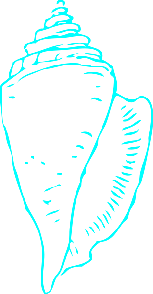 Aqua Shell 2 Clip Art At Clker - Shell Clip Art Black And White (312x597)