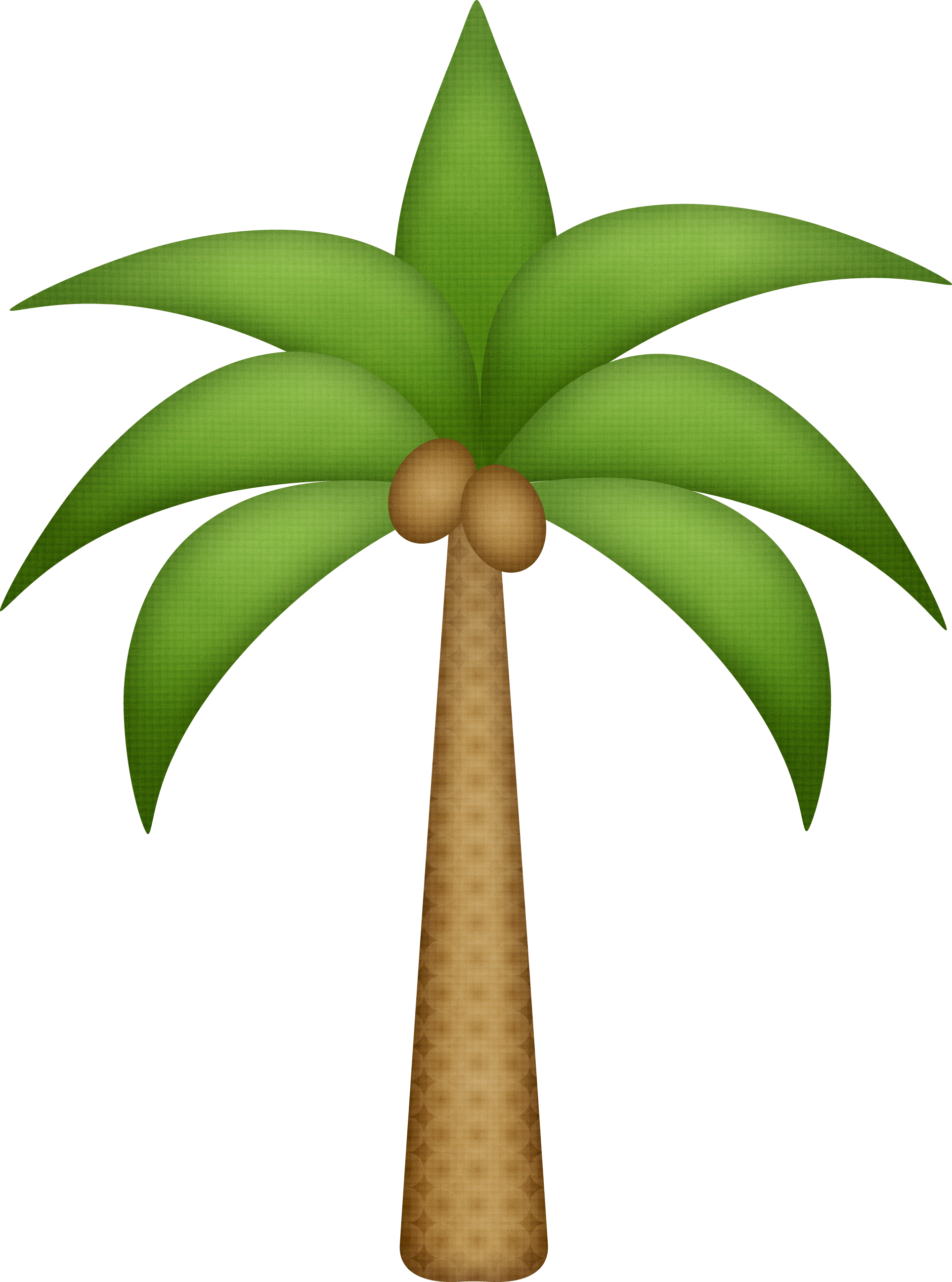 Patterns - Palmera Animada Png (1926x2594)