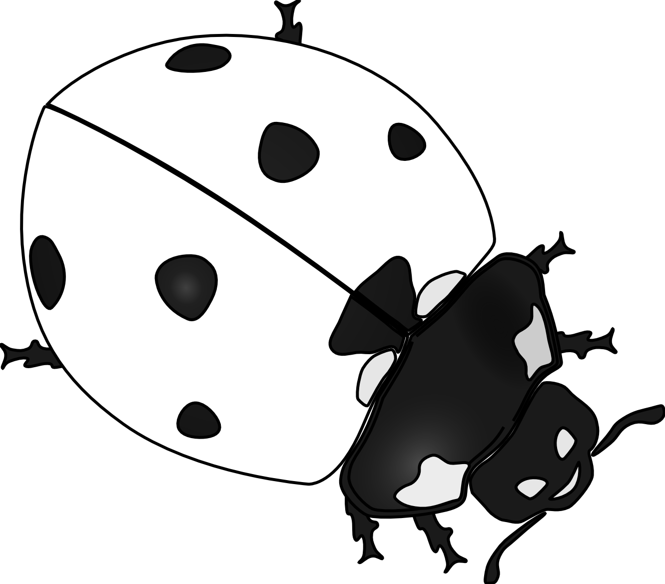 Drawn Ladybug Clip Art - Ladybug Black And White Drawing (1331x1169)