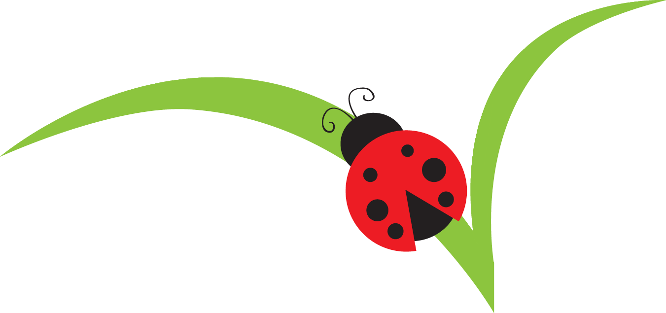 Lady Beetle Clipart Red Ladybug - Clip Art (1351x635)