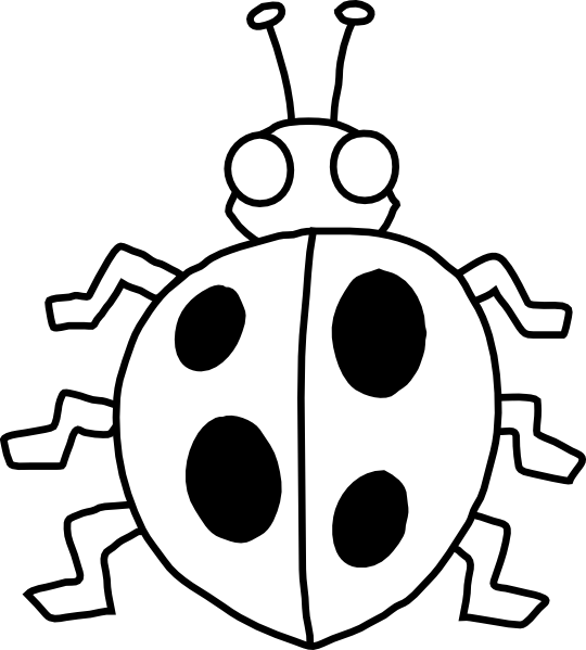 Ladybug Outline Photos Of Ladybug Spots Clip Art Cute - Beetle Black And White (540x599)