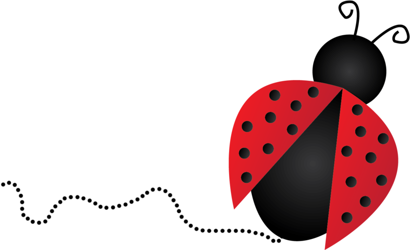 Ladybug Clipart Transparent - Ladybug Png (1024x510)