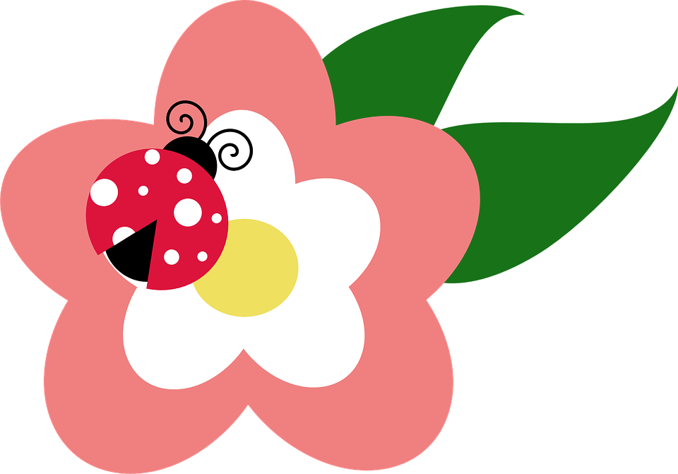 Pink Ladybug Clip Art - Ladybug On Flower Clipart (960x671)
