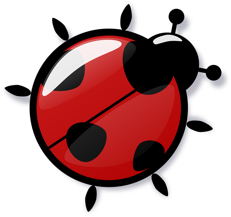 Ladybug Free To Use Clipart - Ladybug Joaninha (767x720)
