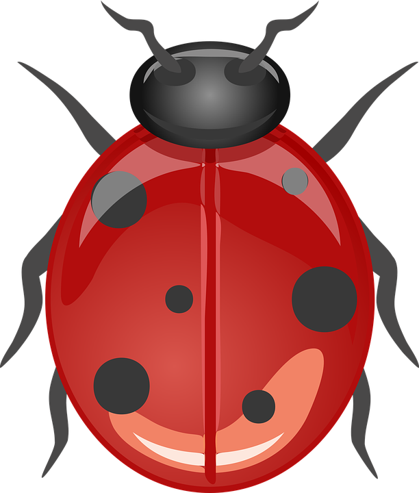 Ladybug Clip Art Free Vector 4vector - Ladybugdesign 60" Curtains (637x750)
