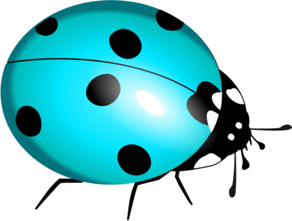 Ladybug Clipart Teal - Lady Bug Clip Art (600x454)