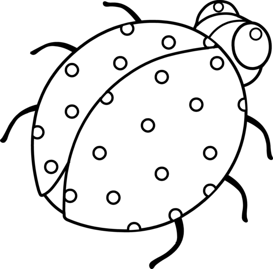 Photos Of Ladybug Outline Clip Art Template - Cute Ladybird Clip Art Black And White (550x542)