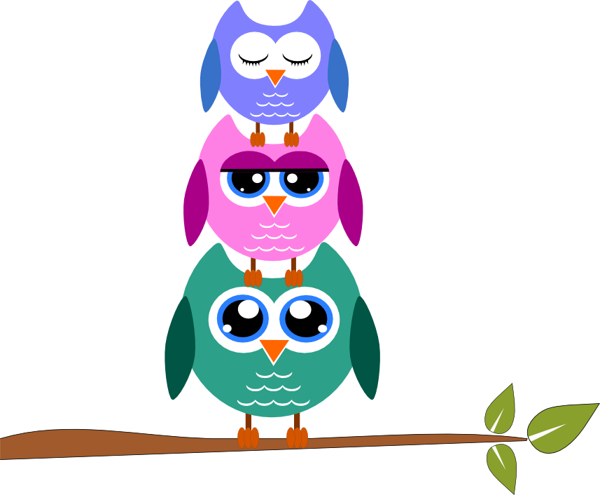Owl Clipart - Owl Clipart Transparent Background (857x706)