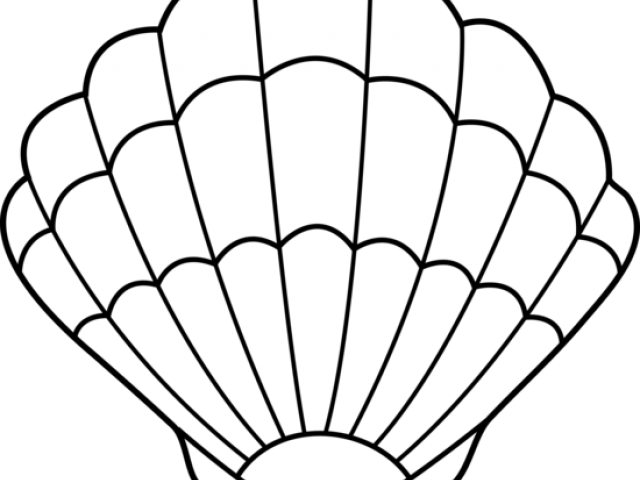 Shell Clip Art - Sea Shell Coloring Pages (640x480)
