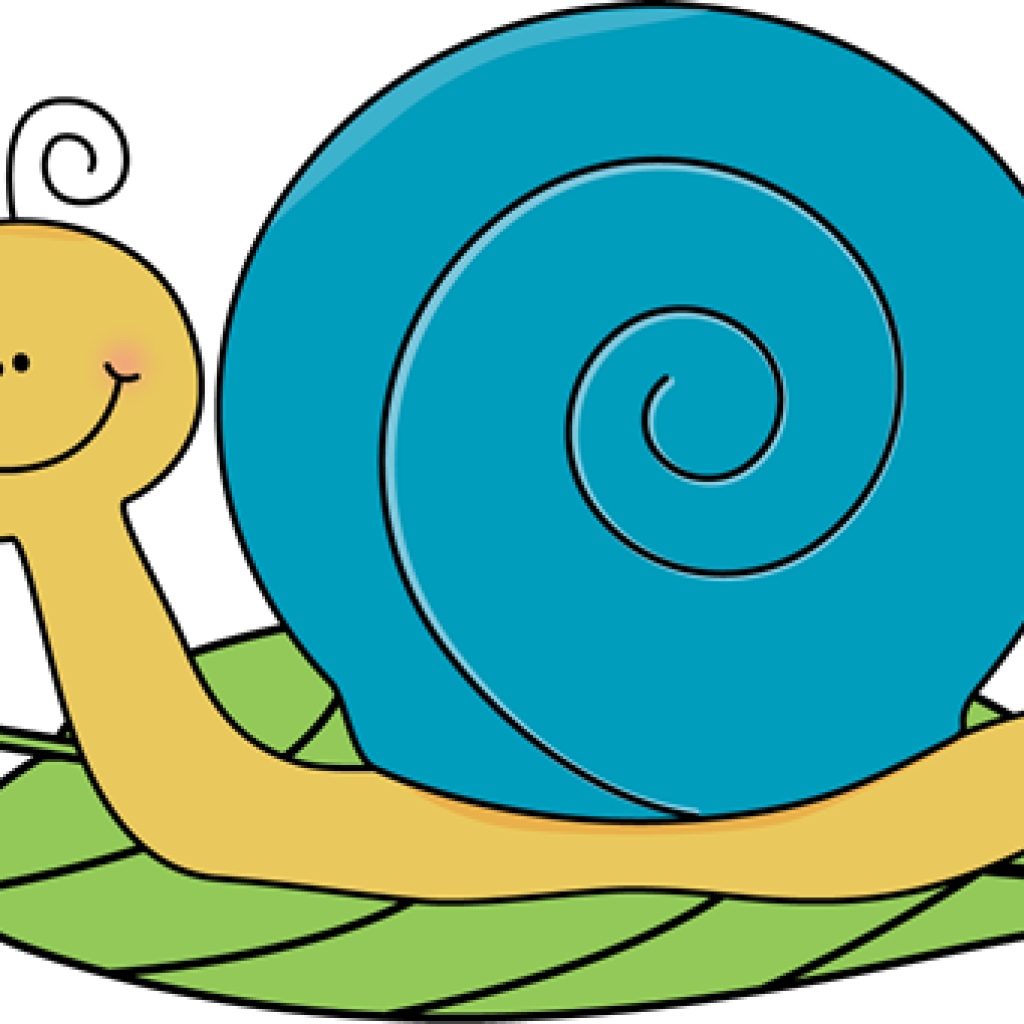 Snail Clipart Clip Art Cartoon Snail Clipart Kid 4 - Clip Art (1024x1024)