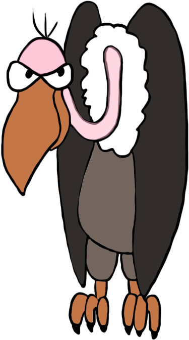 Vulture Drawing In Color - Drawing (558x886)