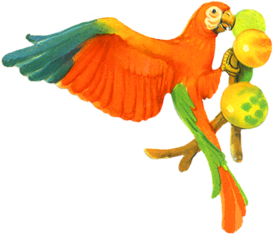 Parrot Eating Fruits Clip Art - Parrot Eating Clipart (413x375)