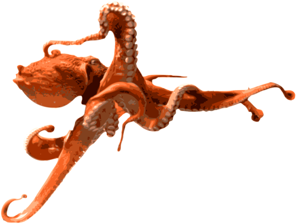 Blue Crab - Octopus Png (640x475)