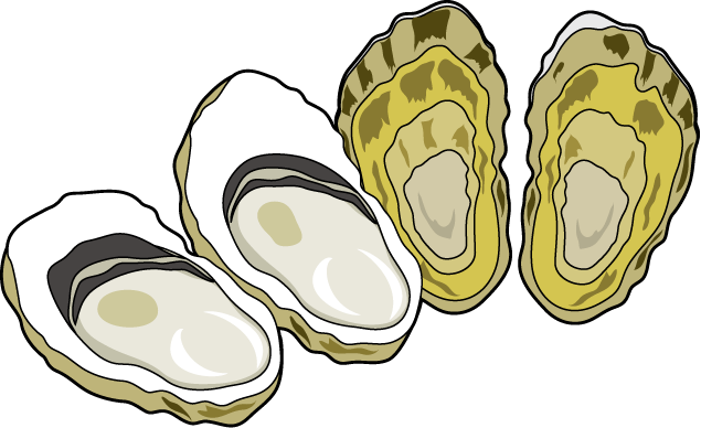Oyster Clip Art - Oyster Clipart (635x388)