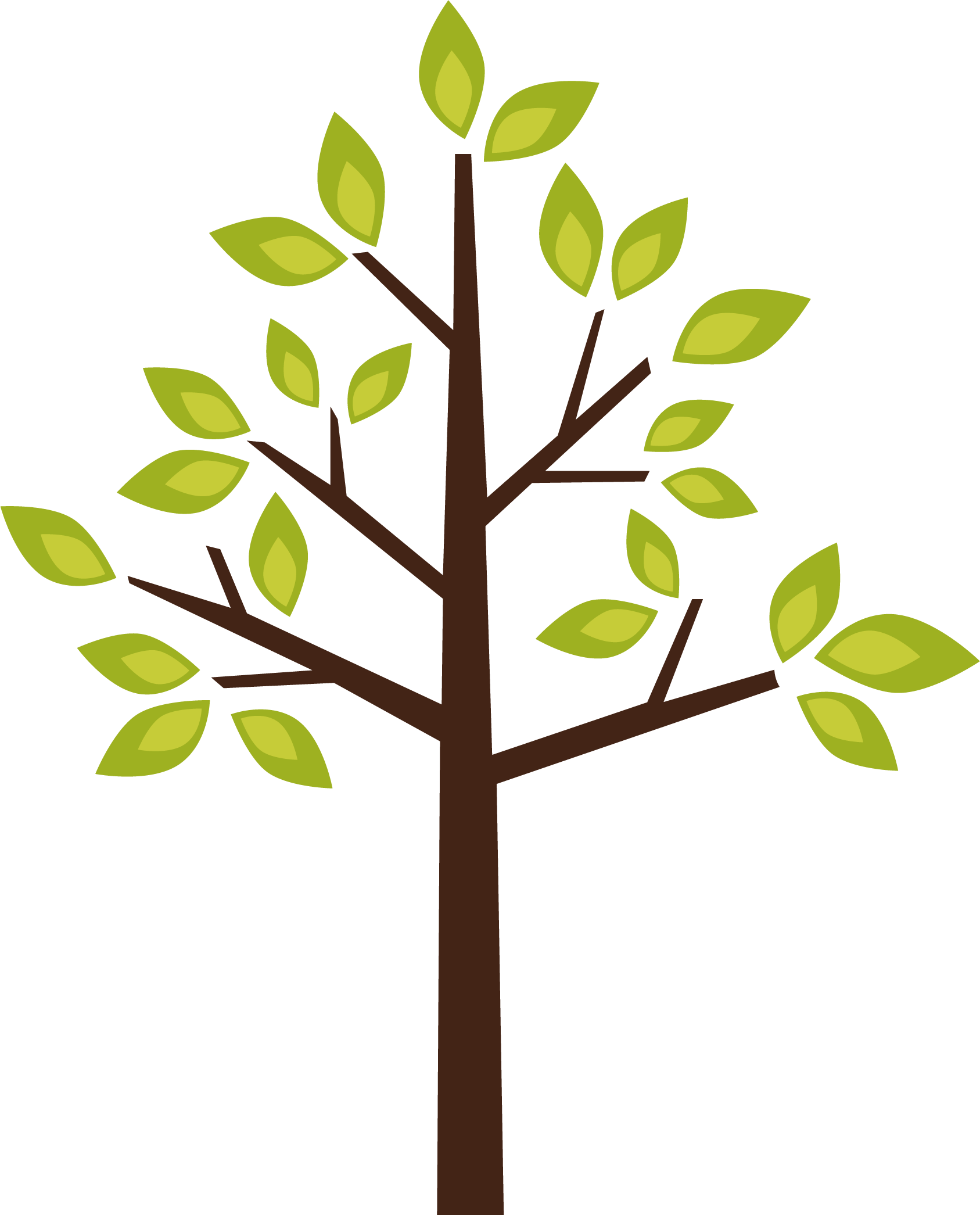 Tree Clipart Png Image 02 - Clipart Tree Png Png (1687x2091)