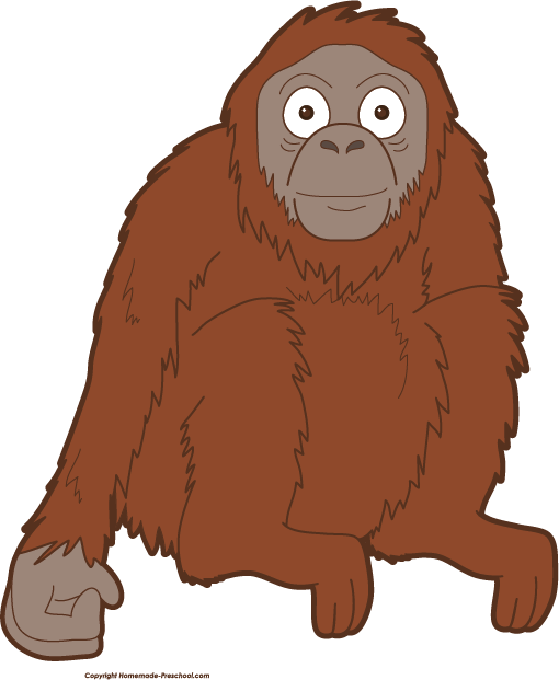 Click To Save Image - Orangutan Clipart Png (510x621)