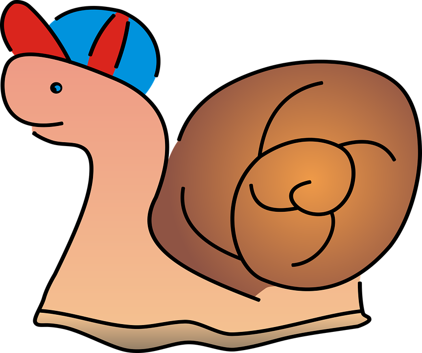 Snail, Crawl, Seashell, Nature, Shell - Spreadshirt Hat (862x720)