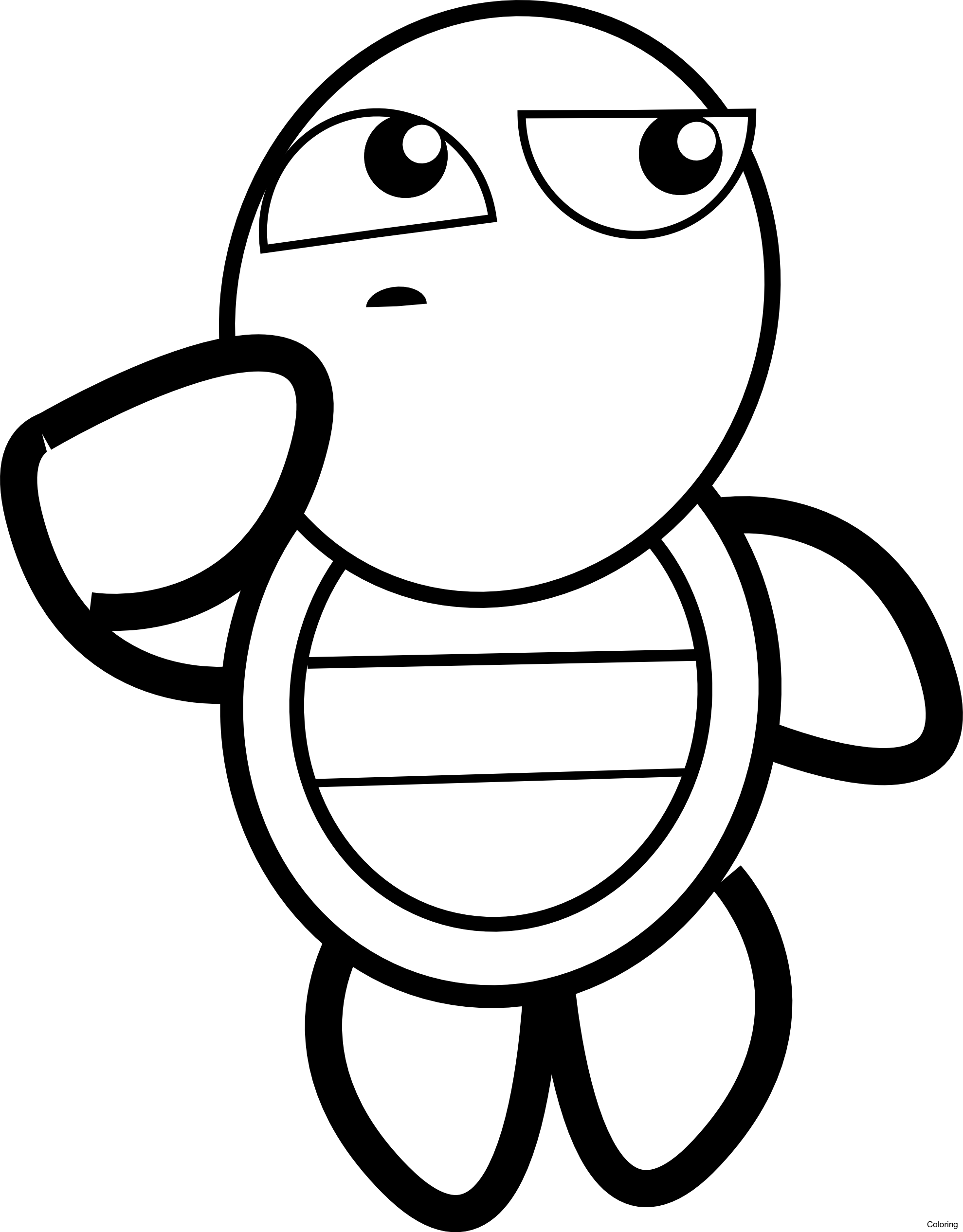 Turtle Drawing Cliparts - Turtle Clipart Black And White (1979x2533)