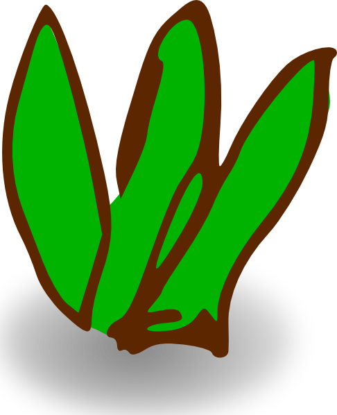 Sea Plant Clipart Gif (486x598)