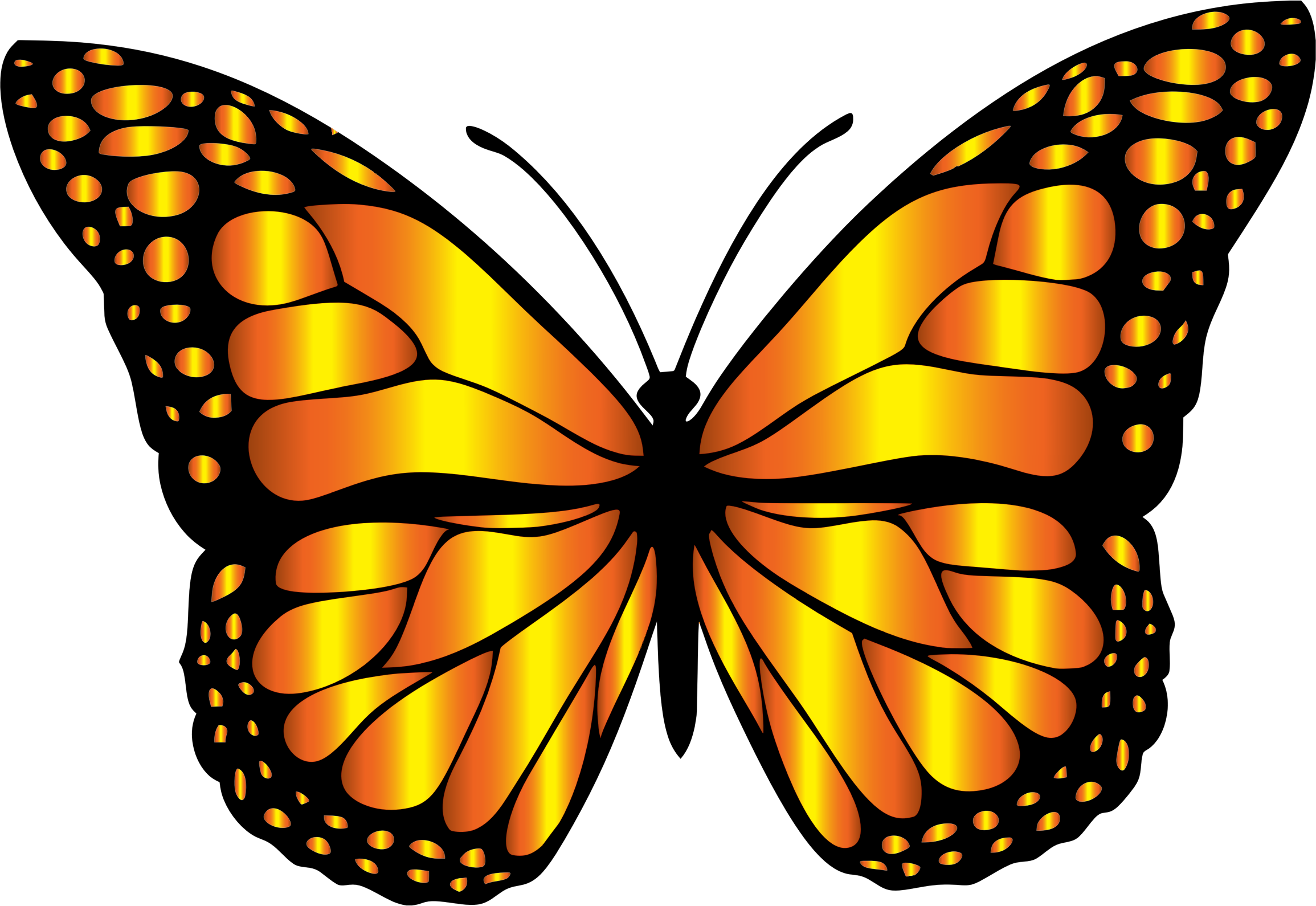 Clipart Orange Butterflies Butterfly Clip Art Free - Clip Art Monarch Butterfly (2310x1590)